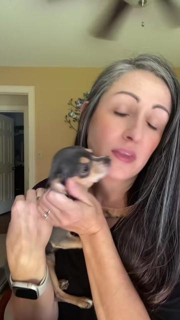 @Ana 💛 | Brick&bull;Ethel&bull;Lady 🐾