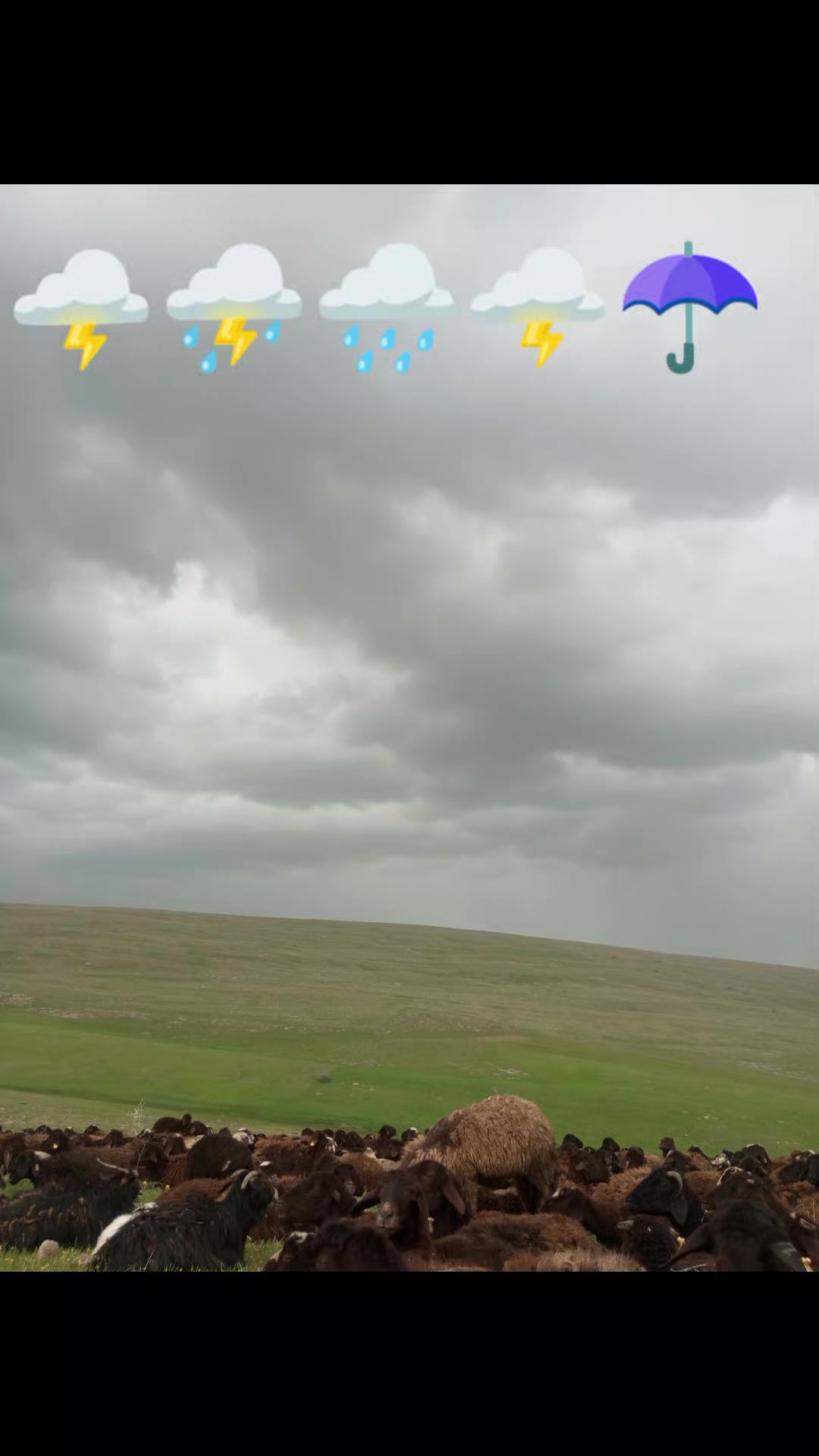 @Ali Aydemir