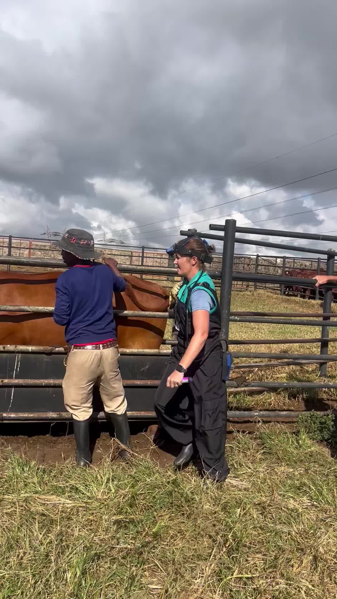 @FarmingKZN🇿🇦