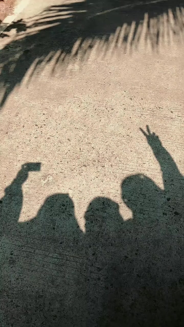 @amoytweeet🇵🇸🇮🇩