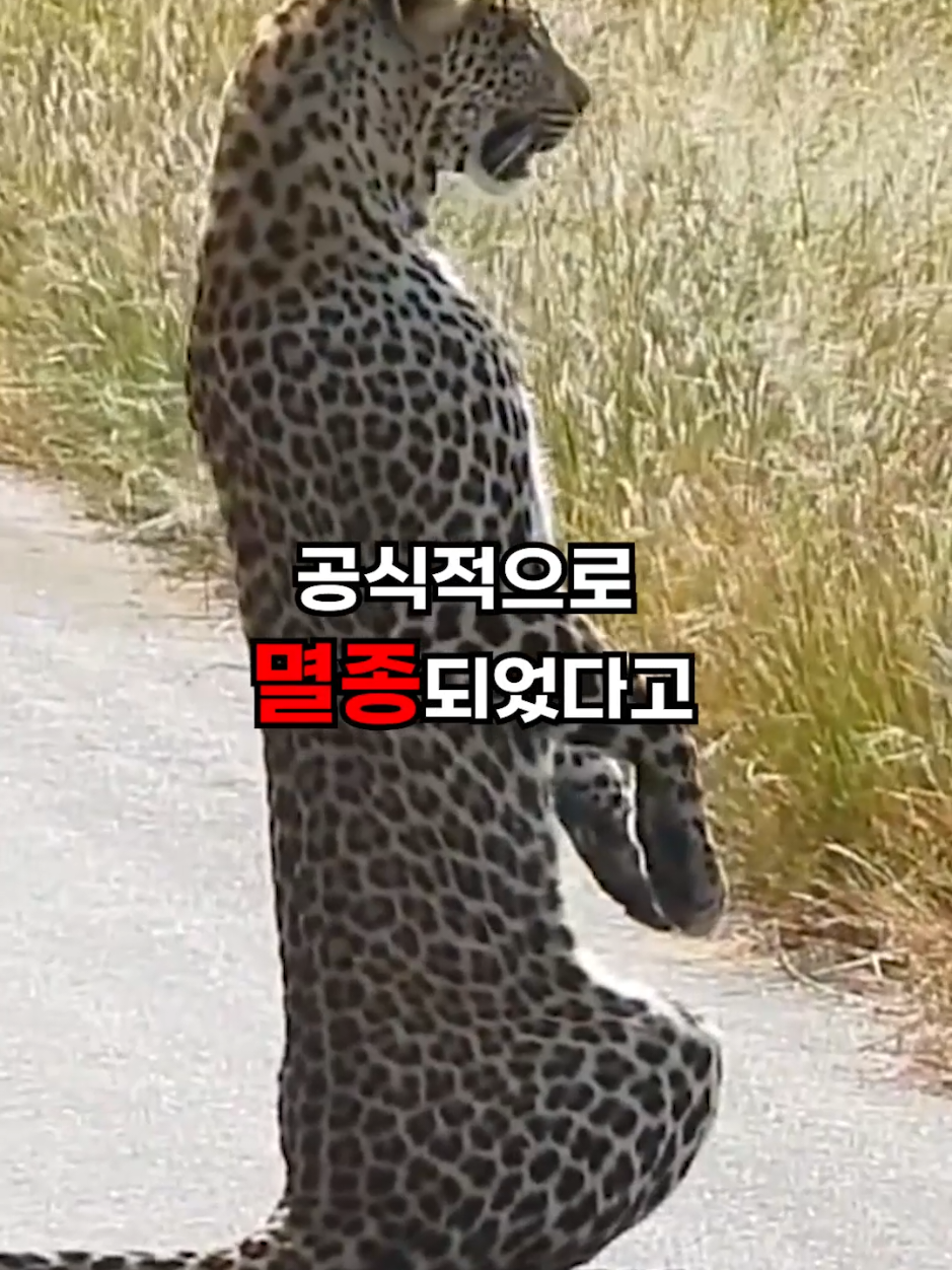 @뚝딱 상식 뚝배기