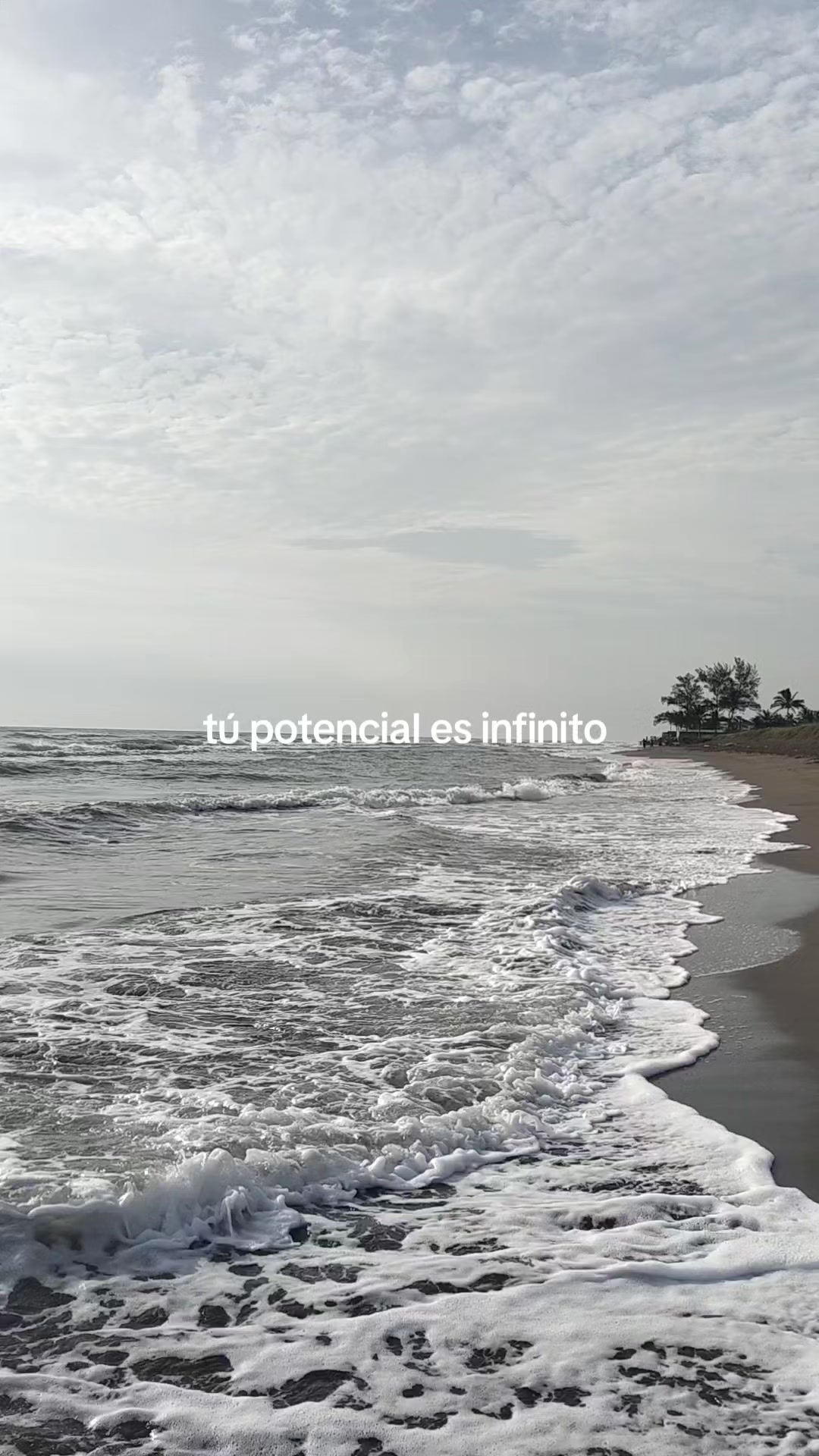 @y.Veneno