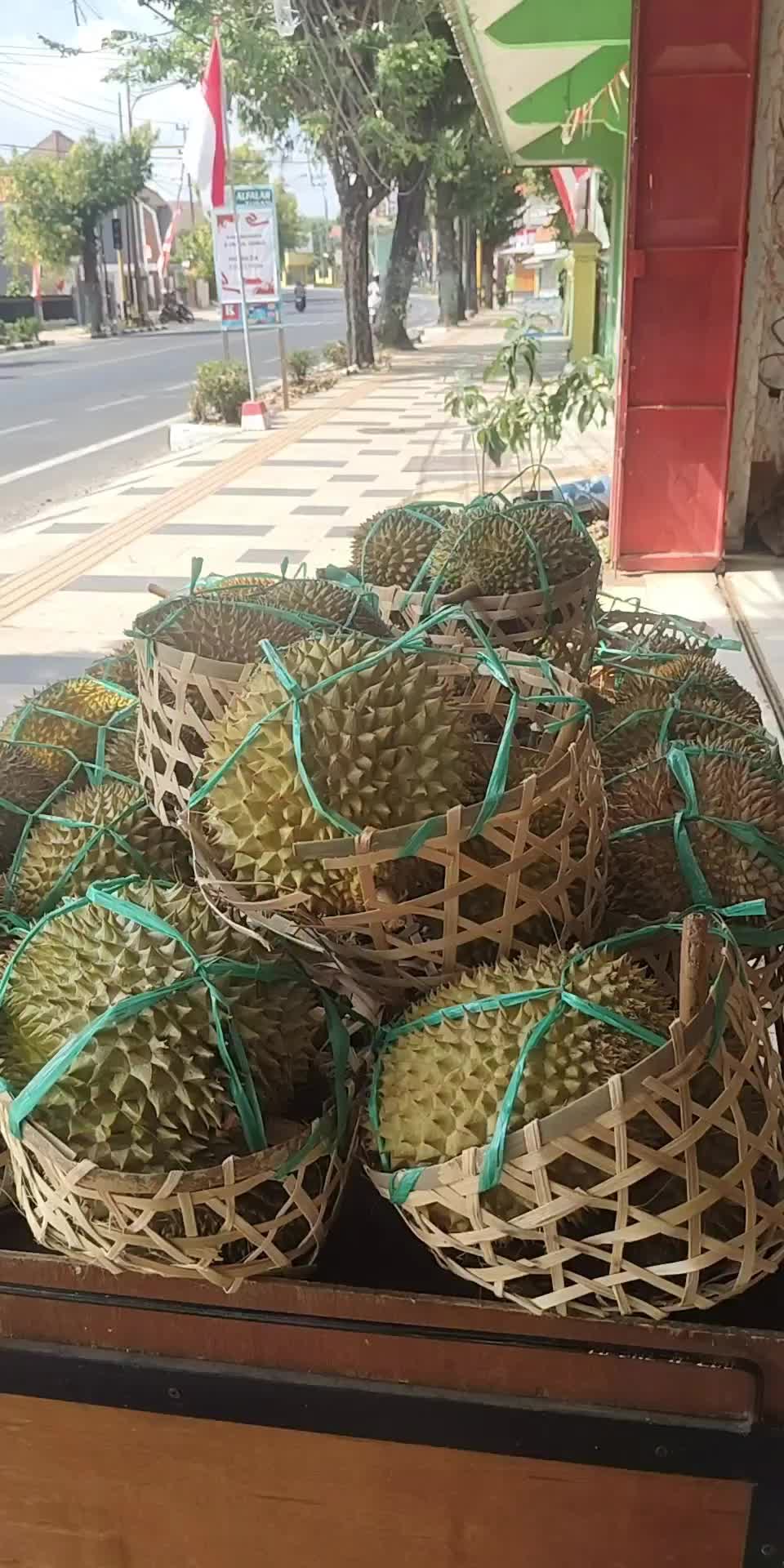 @Kenzhi Durian Tuban