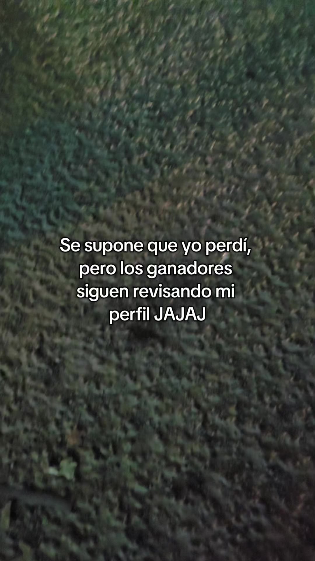 @Wilfredo Machaca