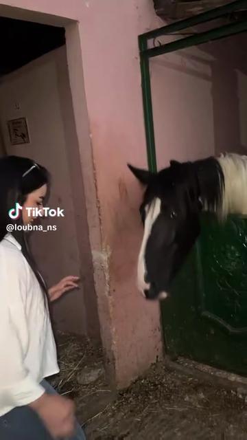 @sef.wefy.pefy