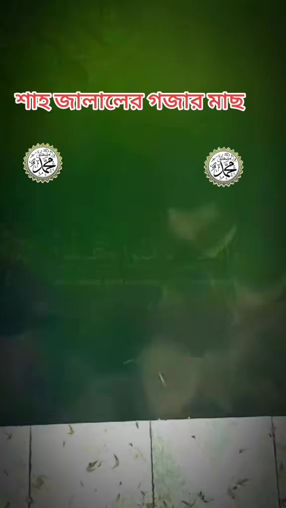 @🕋-R-A-J-U-🕋