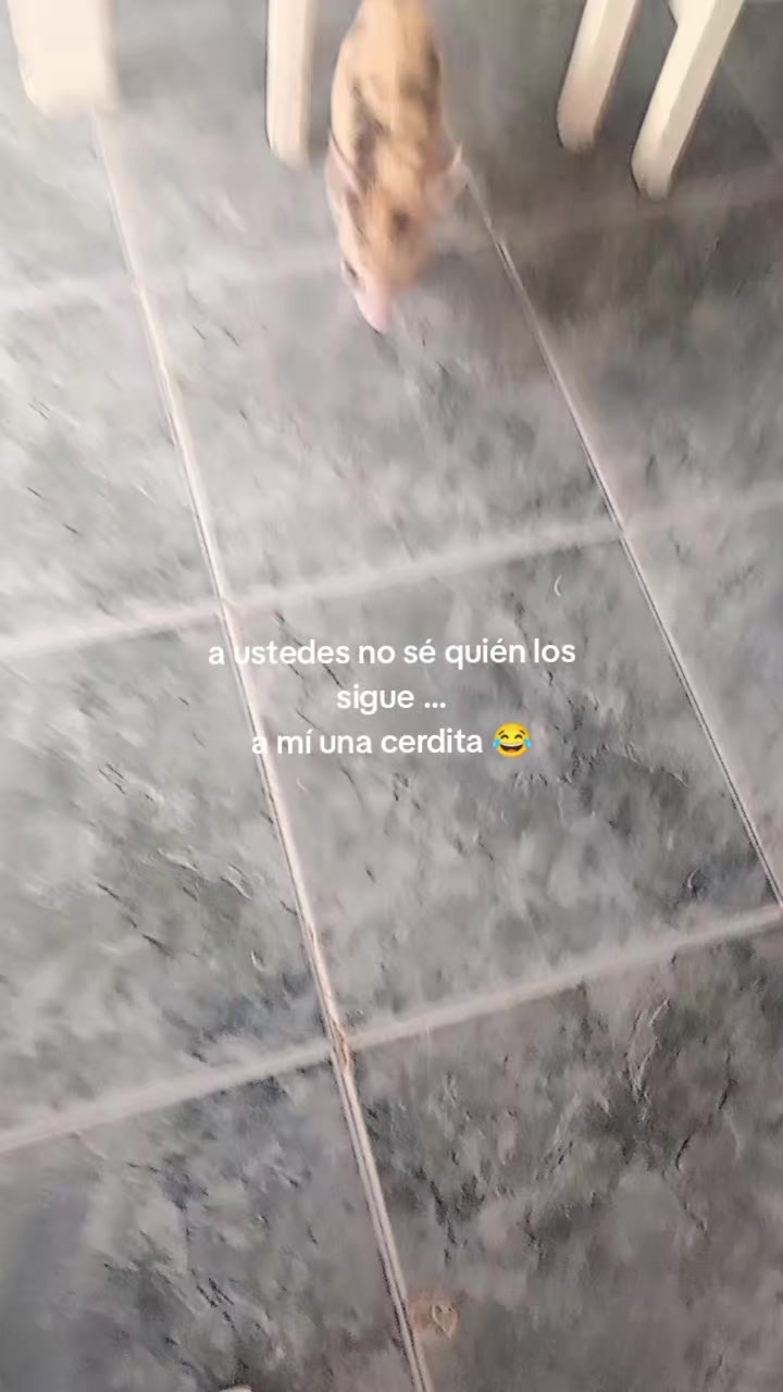 @Carla Najurieta