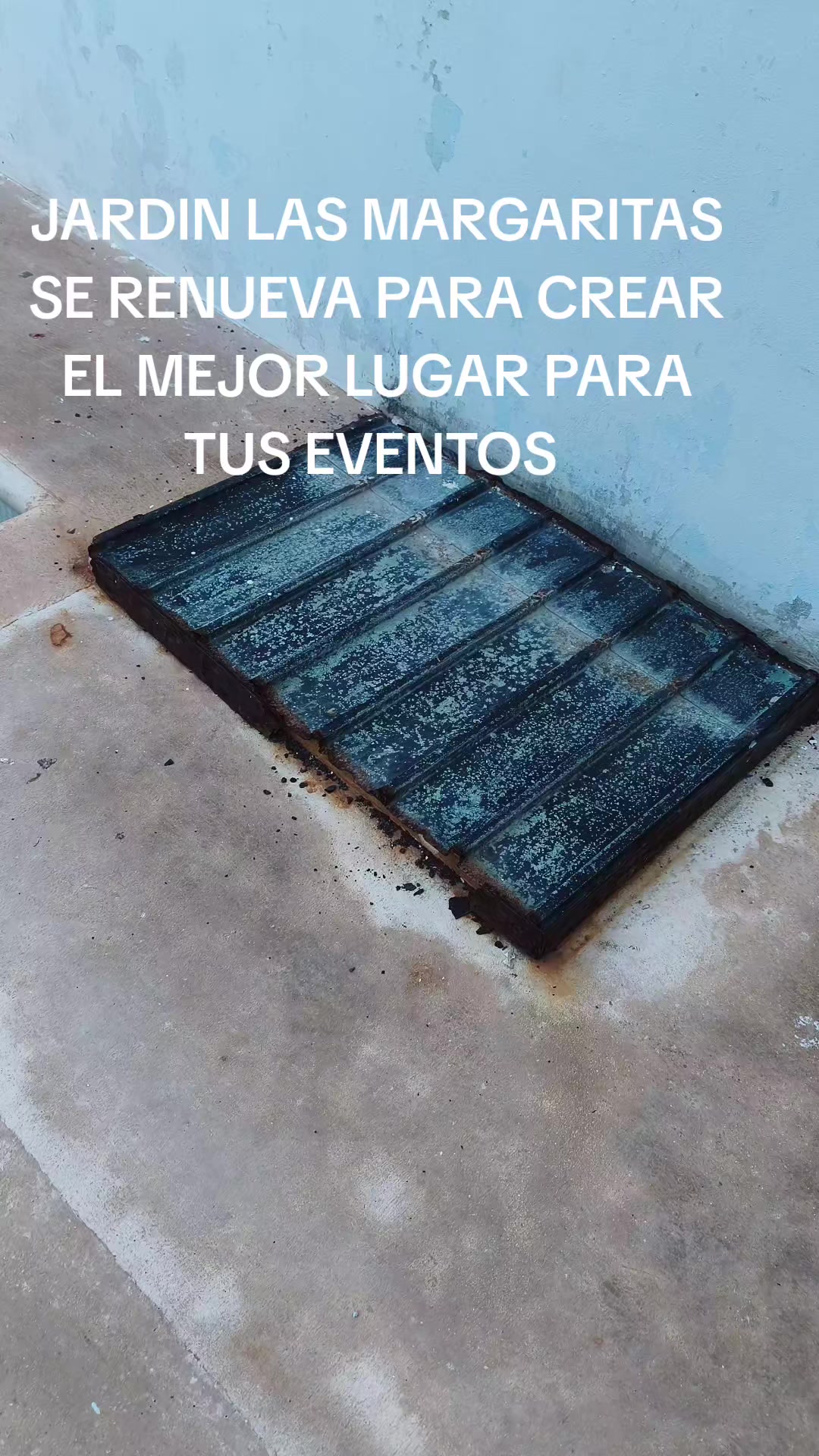 @Kanelocos