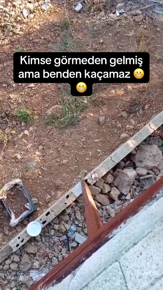 @Burhan Sevda Karaüzüm