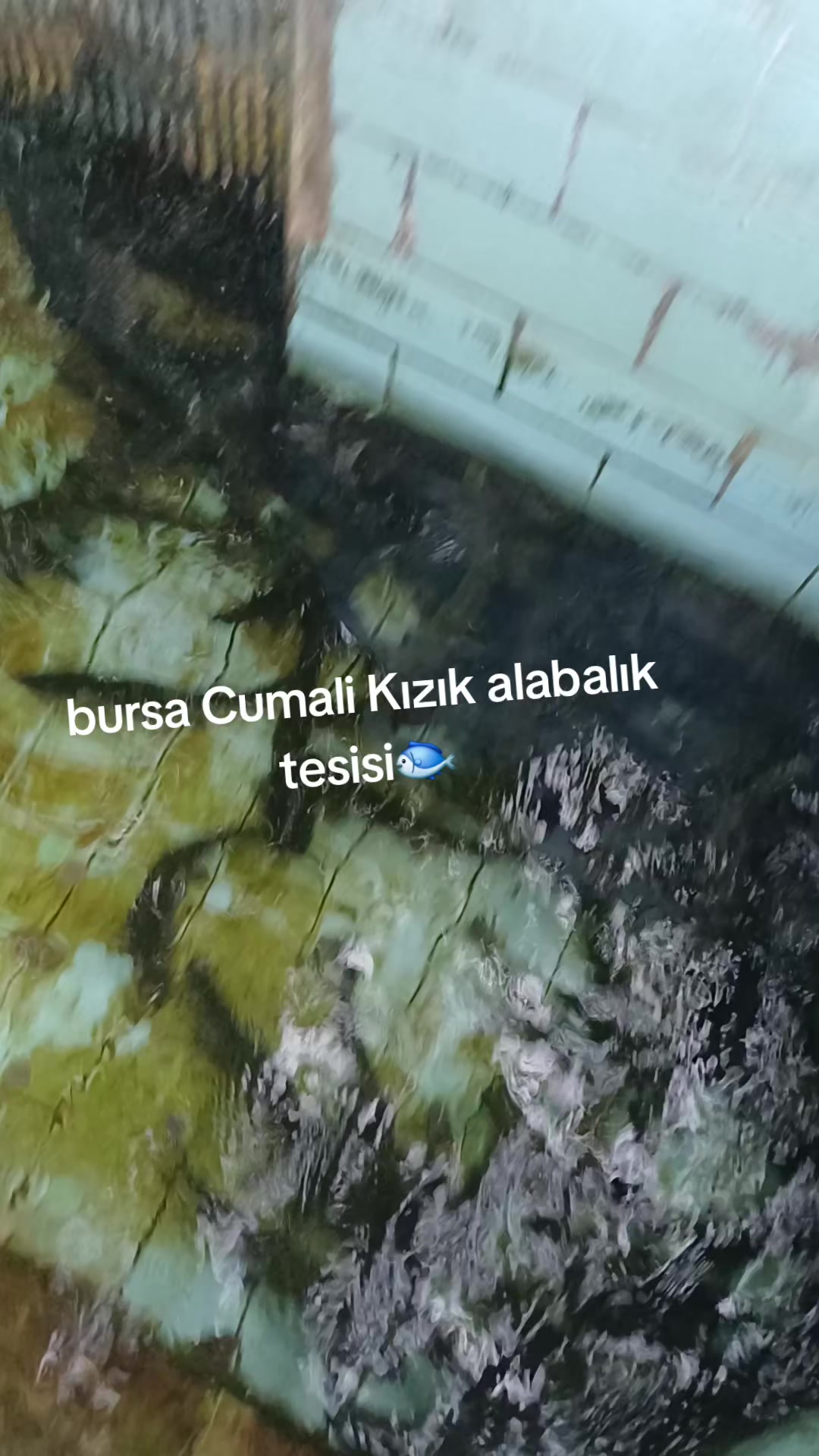 @🦋MAVIŞIM🦋