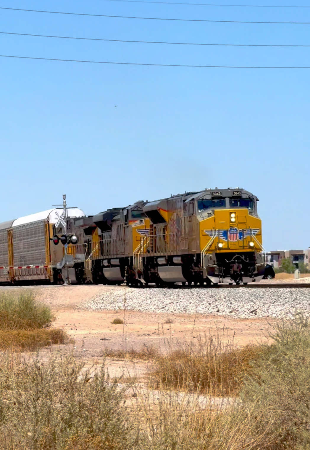 @ShinyRailsLover
