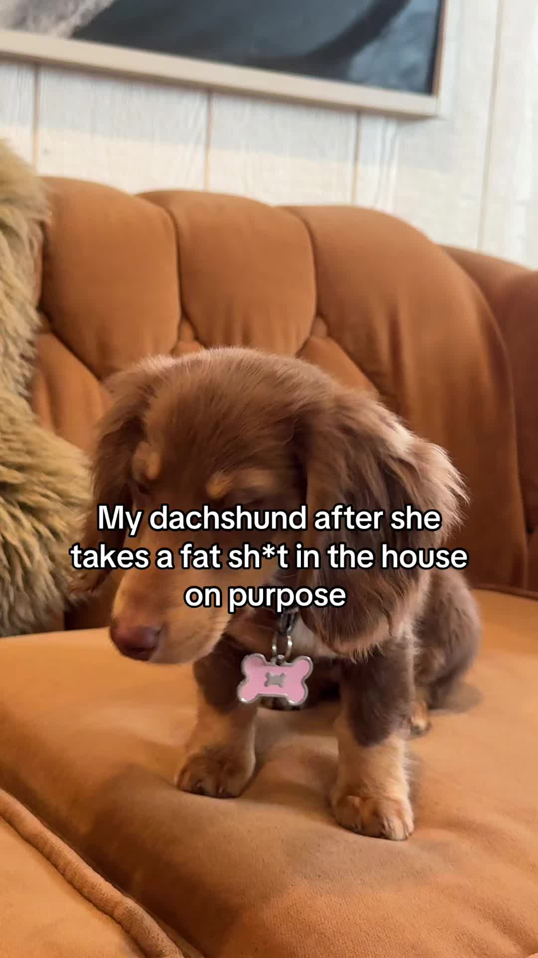 @Jade Iverson