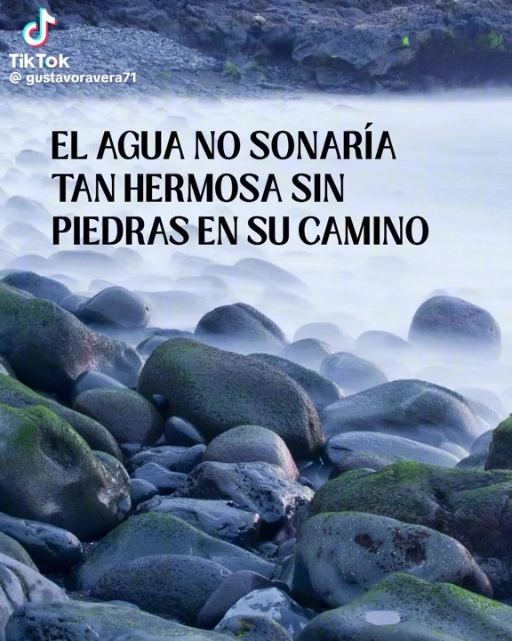 @rosaelviraferrerc