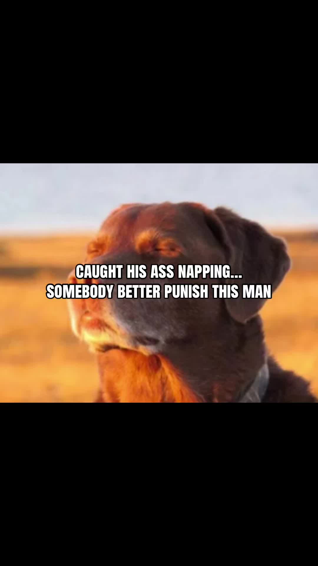 @ryan
