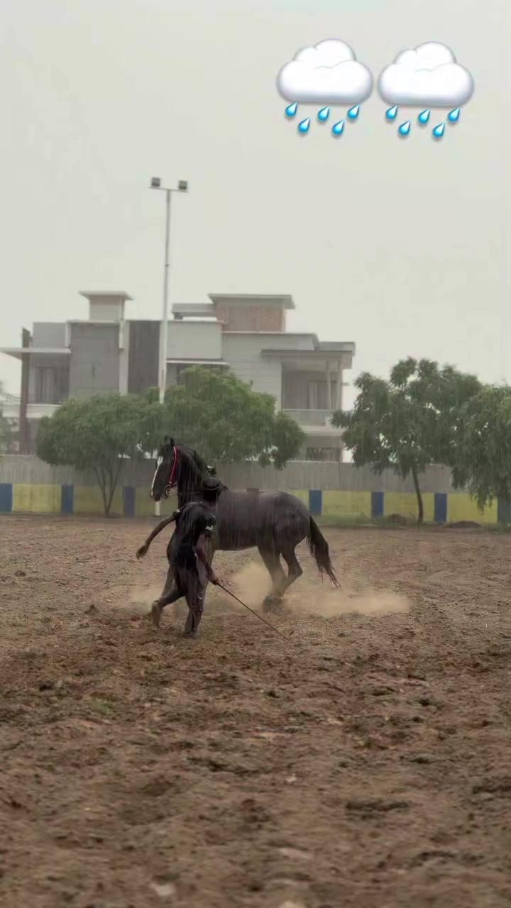 @@𝙂𝙍 𝙃𝙤𝙧𝙨𝙚 𝙁𝙖𝙧𝙢 🐴