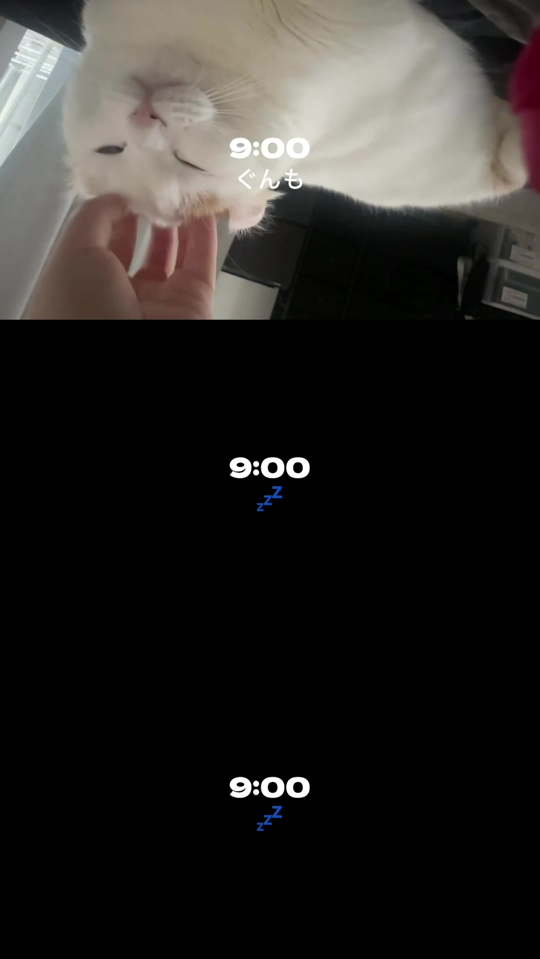 @エクステ専門店 salon de COCO