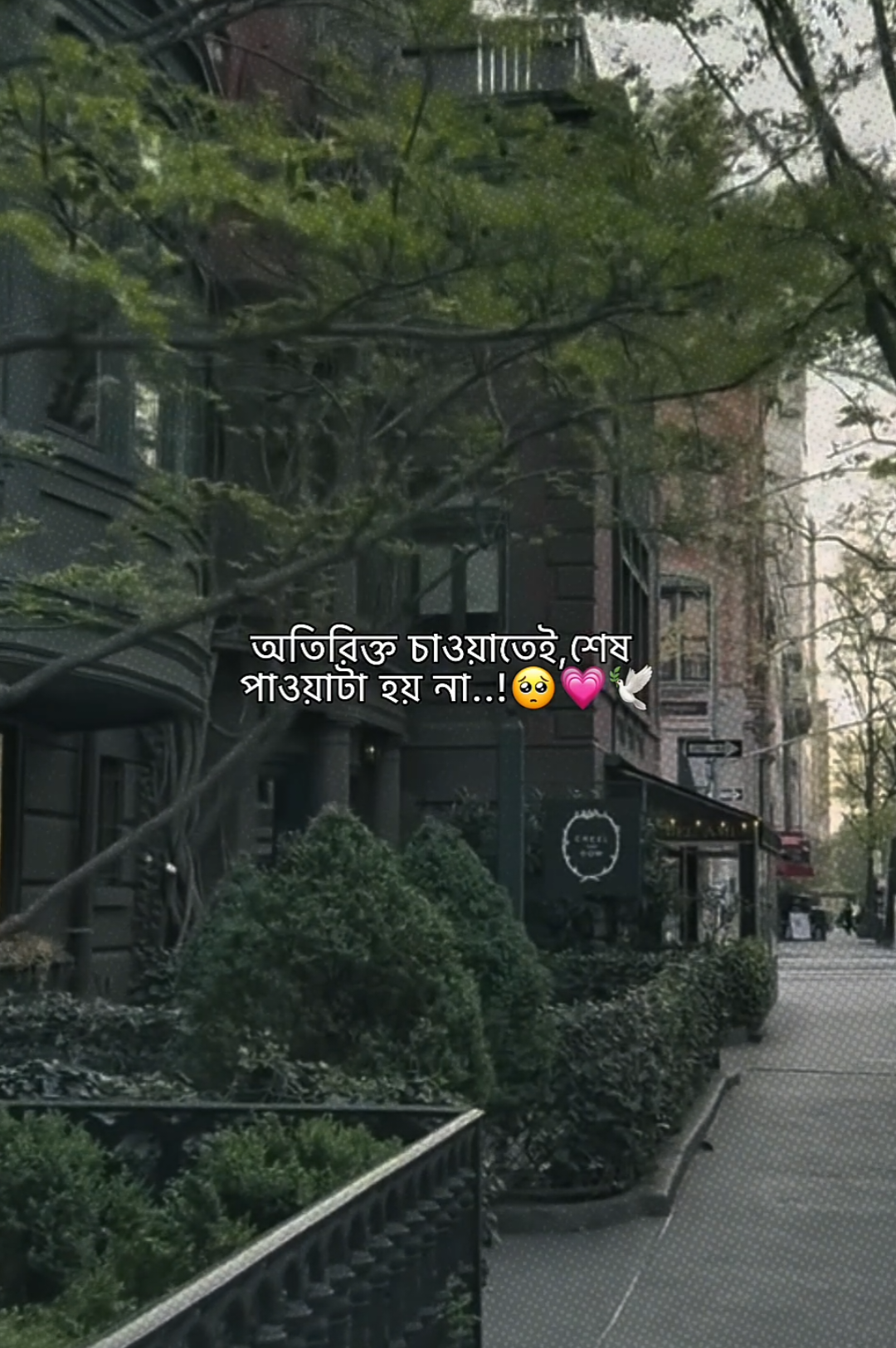 @𝗠𝗮𝘀𝗵𝗮𝗹𝗹𝗮𝗵 𝗔𝗽𝘂'♡︎🌷