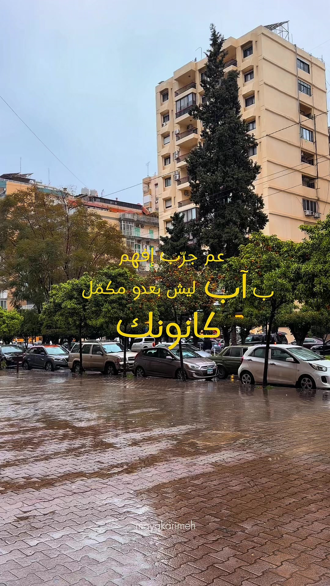 @MAYA O. Karimeh