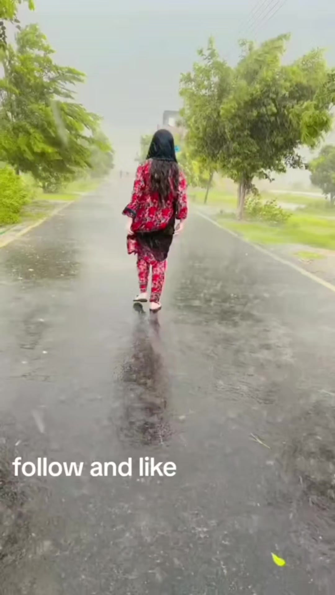 @Sana khan😊