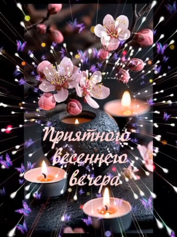 @꧁༺ 𝓔𝓵𝓮𝓷𝓪 ༻꧂