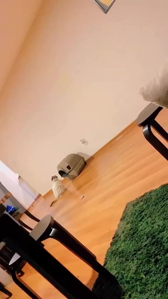 @Mariana Reyes