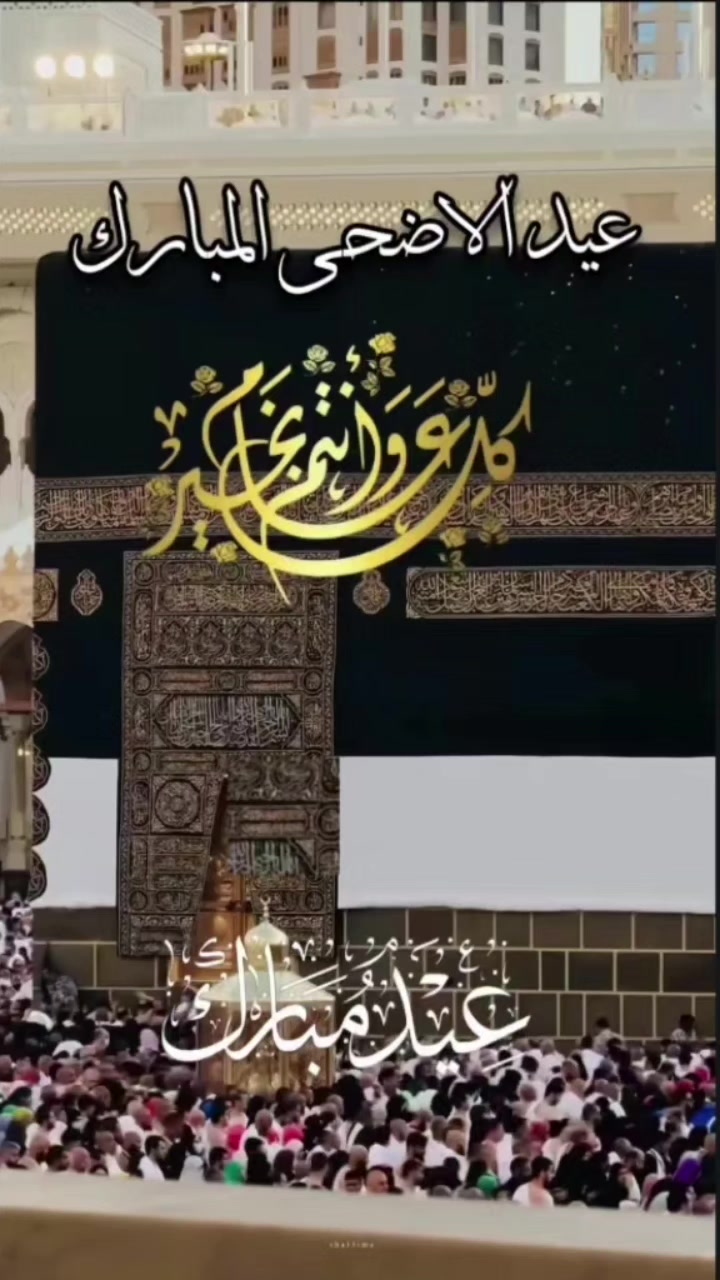 @الركـــابي_Alrekaby