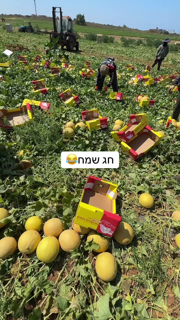 @Khadr Salota