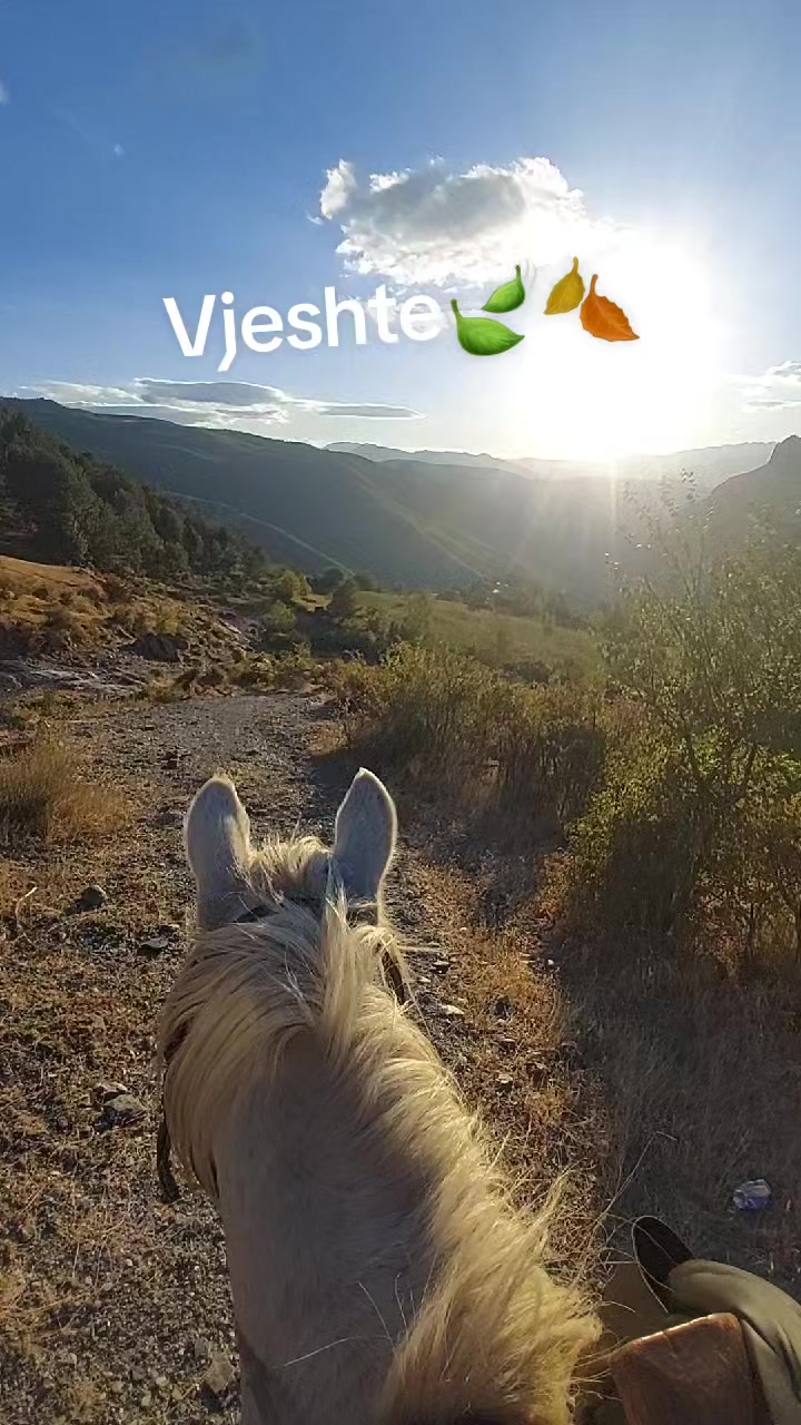 @Fshati_fshat😍