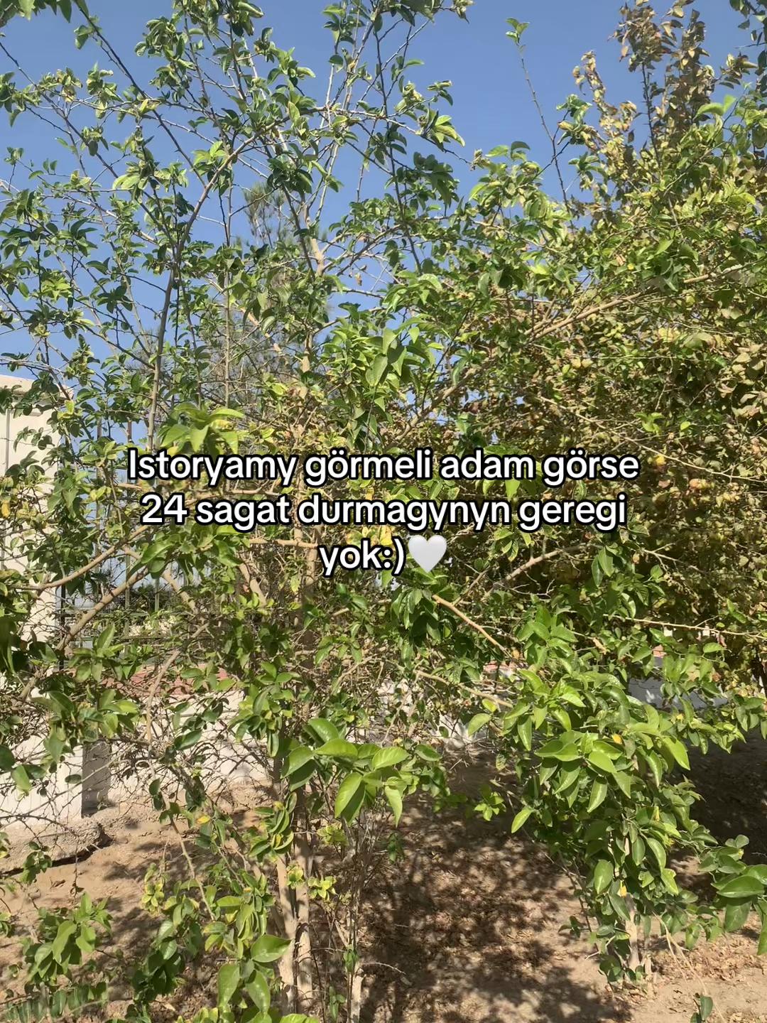 @𝓢𝓾𝓵𝓲_