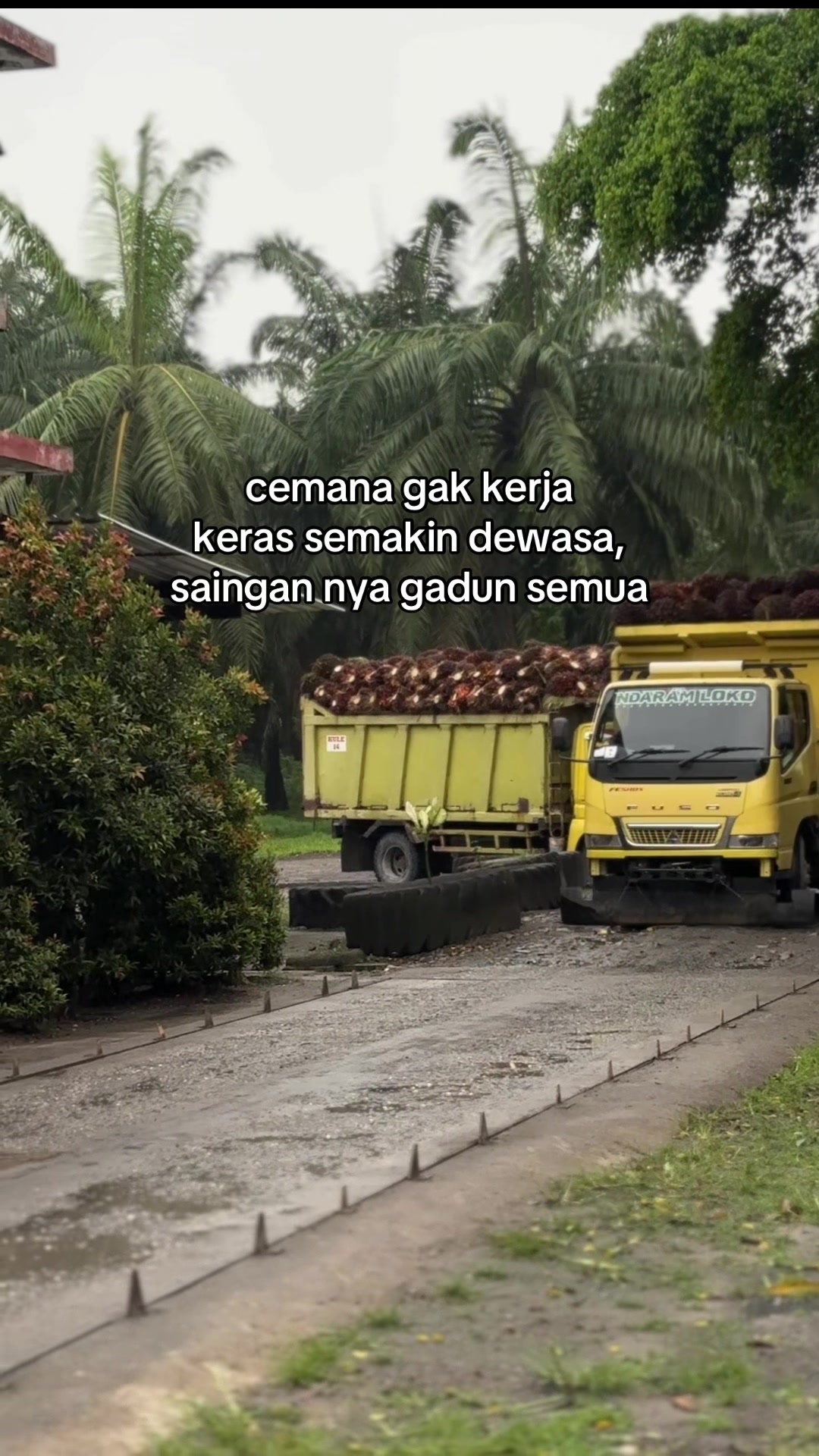 @K3NYOTT