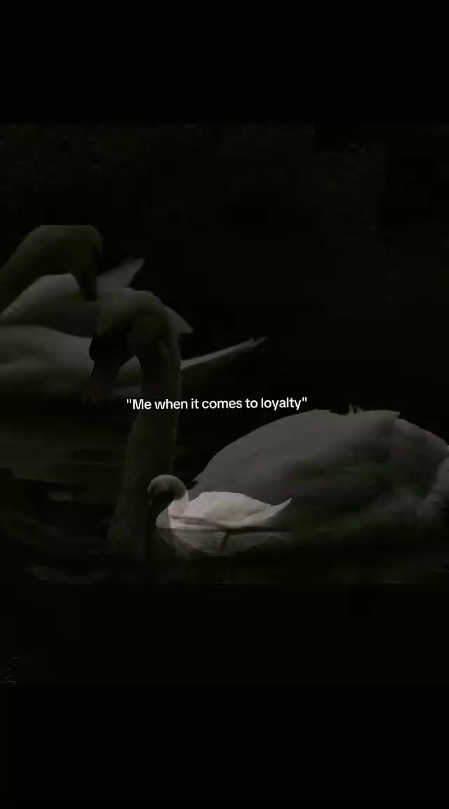 @𝐀𝐍𝐒𝐀🌚