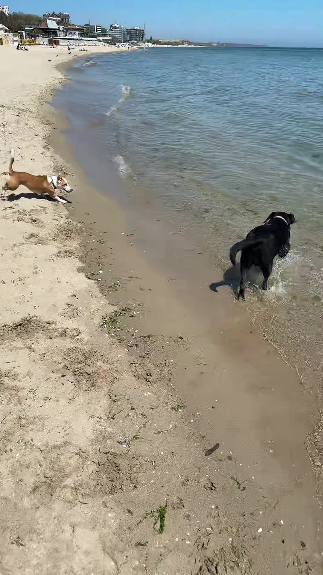 @🌊