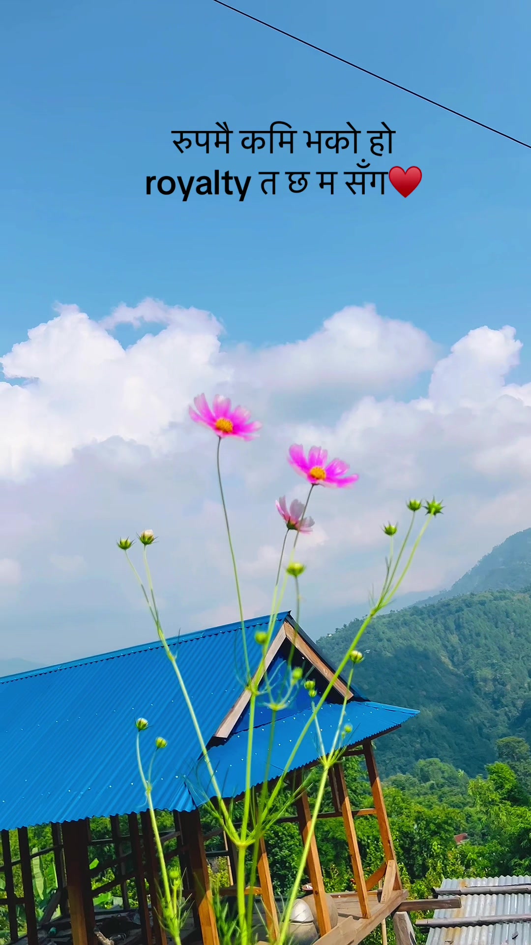 @सबि साम्सोहाङ राई 🫀🫶