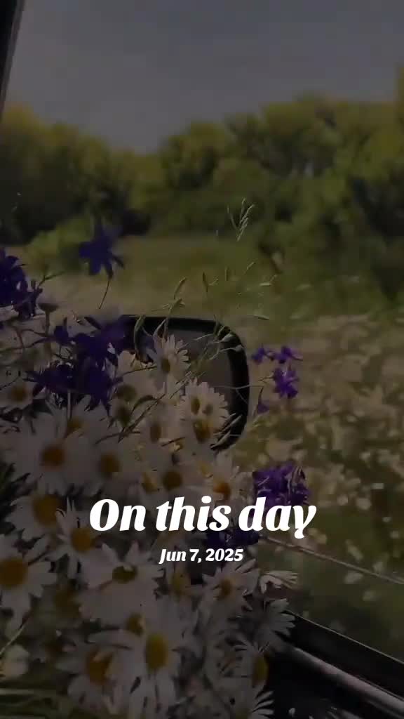 @𝐓𝐚𝐥𝐡𝐚 𝐨𝐟𝐟𝐢𝐜𝐢𝐚𝐥 🐊