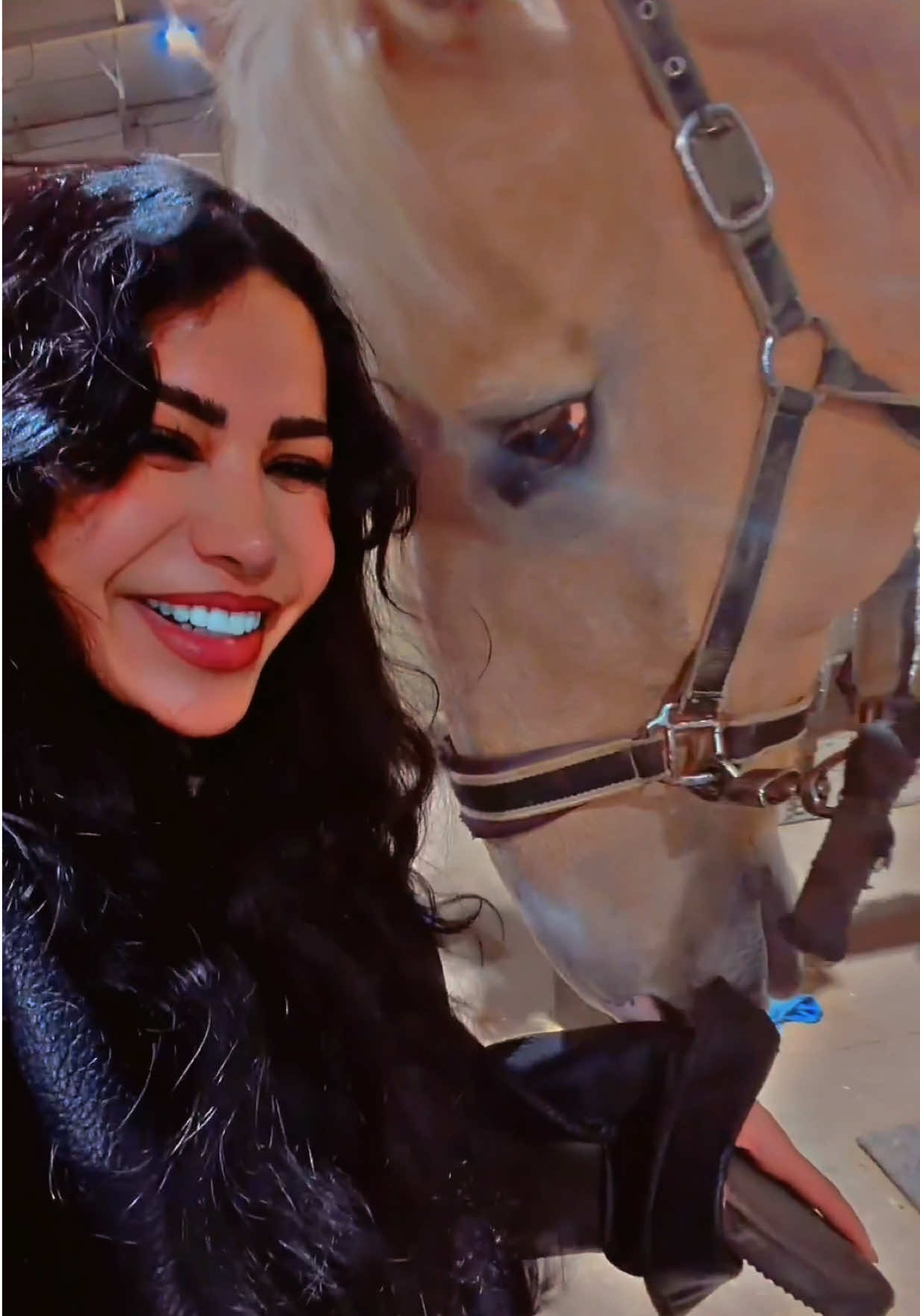 @Deena Batayeh