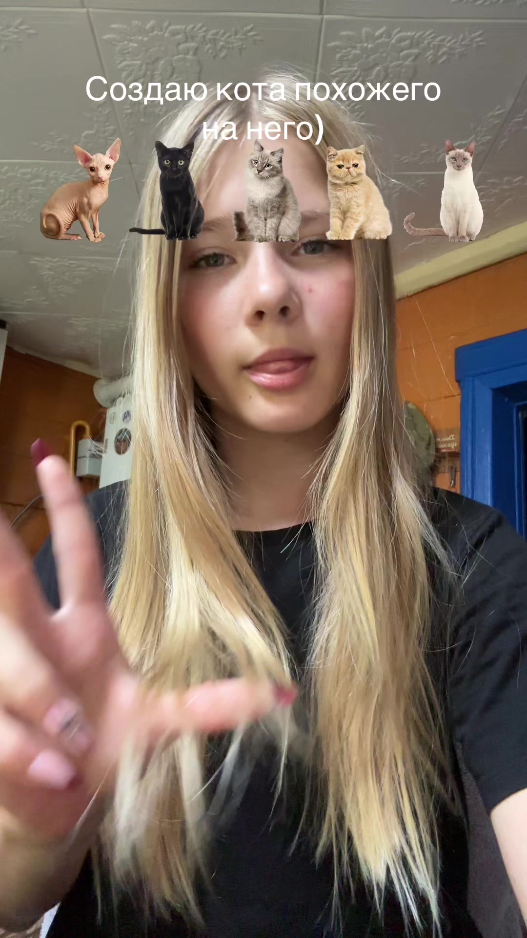 @ki1tyqw