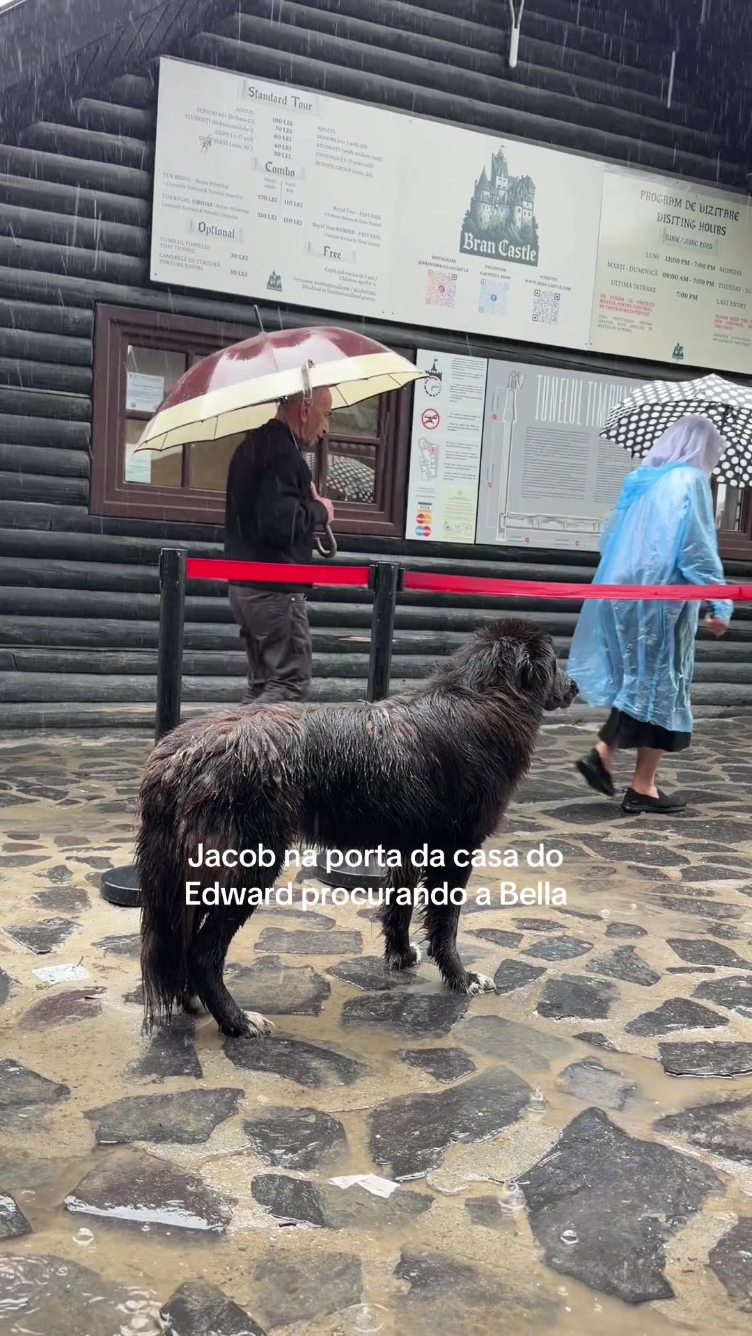 @Debora Aladim