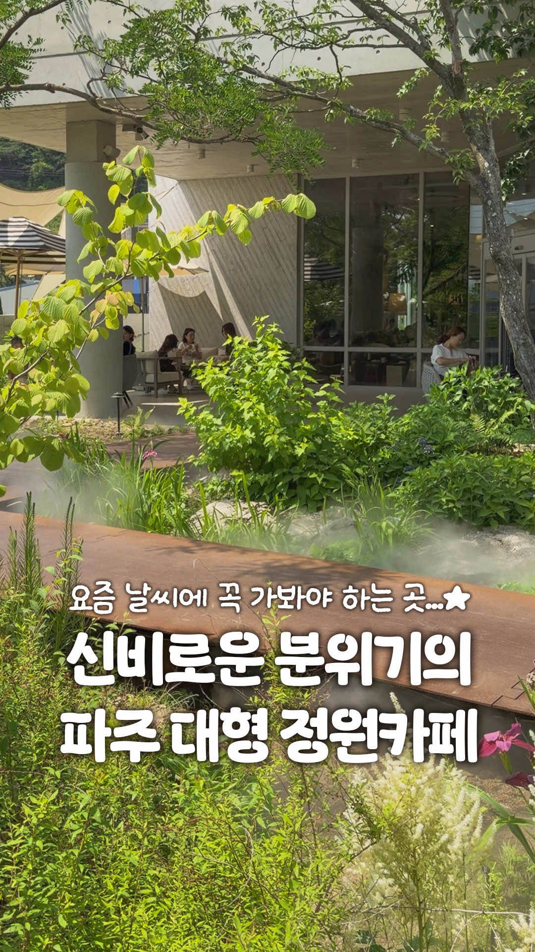 @일산갈고양