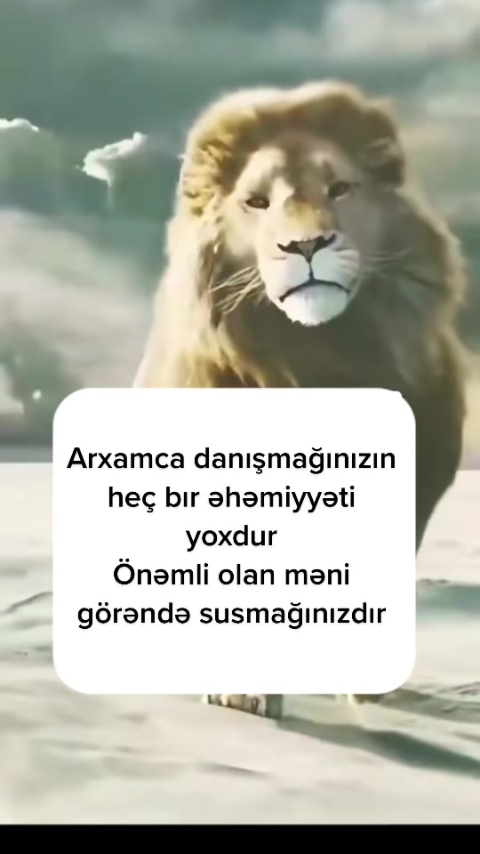 @Nur Şahgəldi
