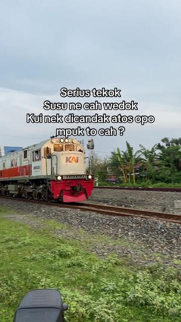 @𝙁𝙖𝙣𝙤𝙩𝙩