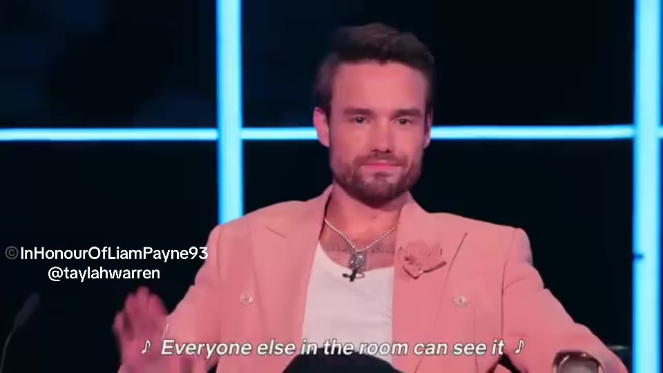 @Justice for Liam Payne >>>>💜