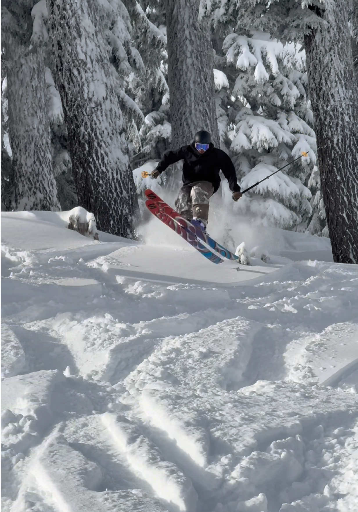 @mt.bachelor