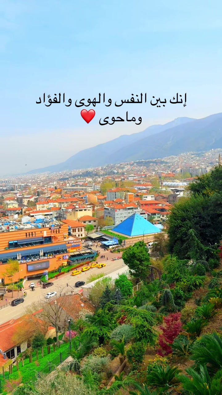 @ليمار ✨