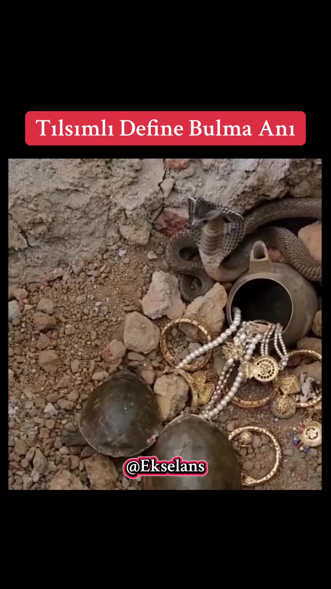 @Ekselans