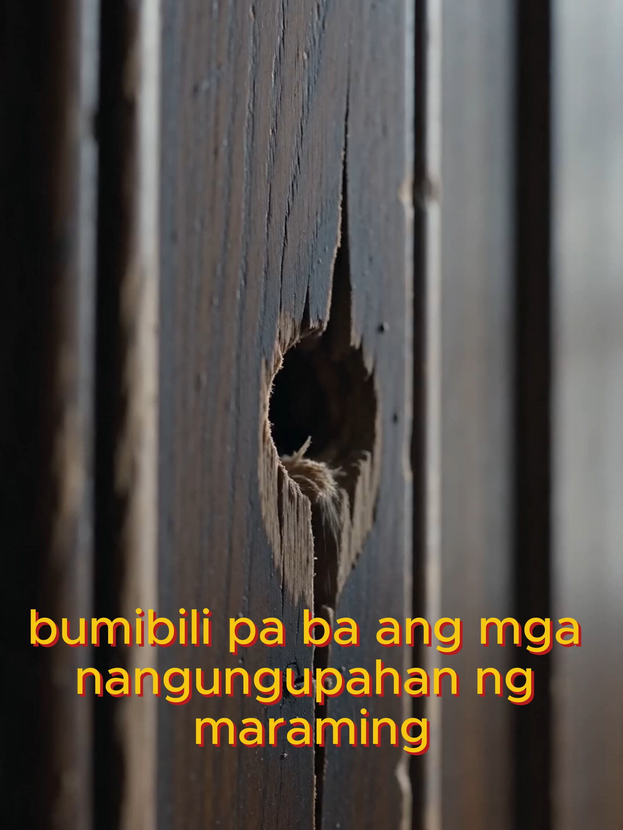 @ANTBOX PH