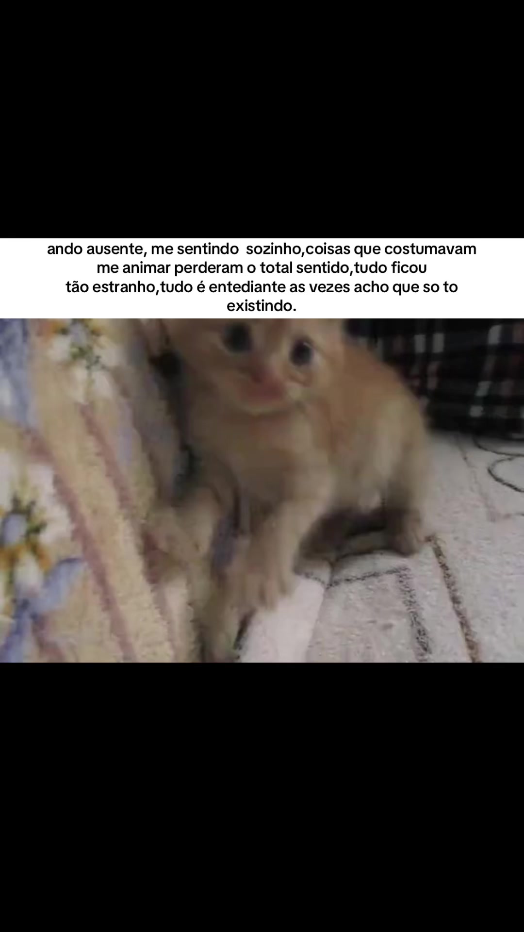 @ℓυᴄคร ᯓ★⁶⁷⁶⁷