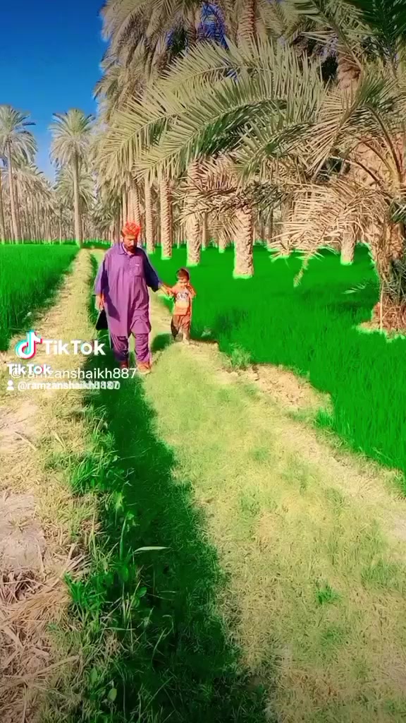 @Ramazn shaikh