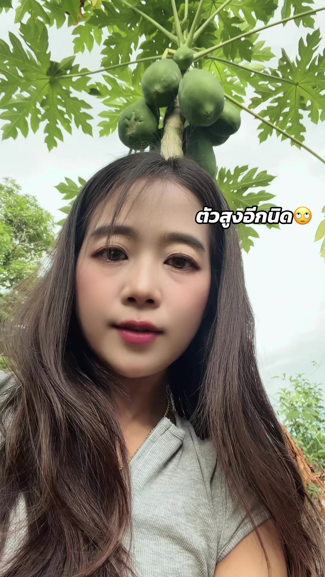 @ตานิ แม่คุ๊กกี้