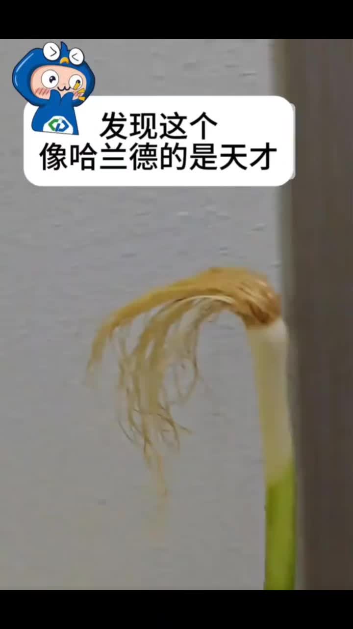 @18号