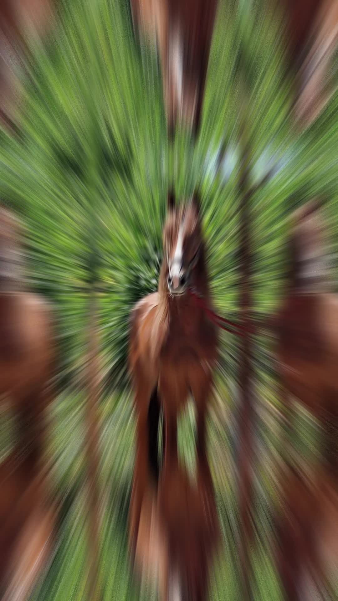 @&Mu;&euro;ĆĦ&Oslash; ♾️ A̷̷R̷̷Z̷̷U̷̷